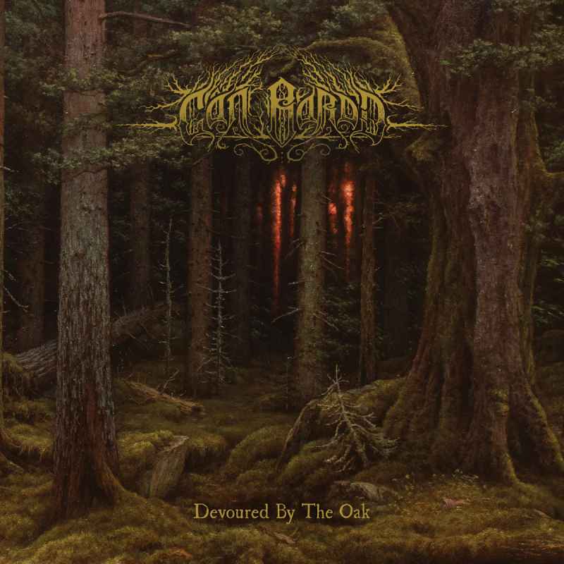 CAN BARDD - Devoured by the Oak CD